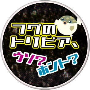 フグのトリビア、ウソ？ホント？